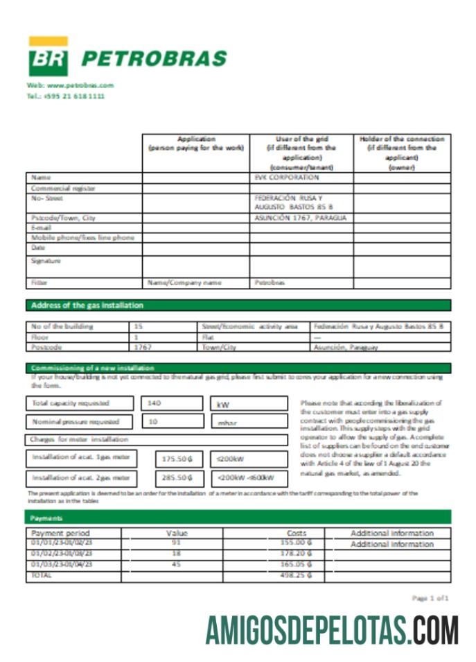 Projeto de lei de serviços públicos da empresa de operações e logística da Petrobras Paraguai, SCR baixar para verificação